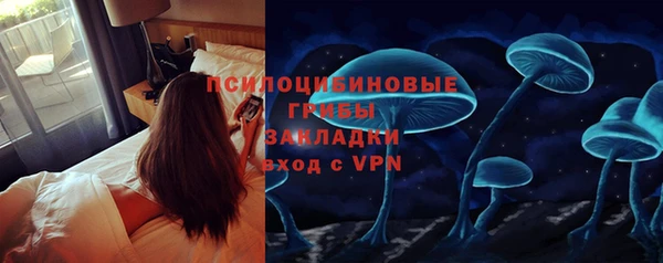 сатива Майский