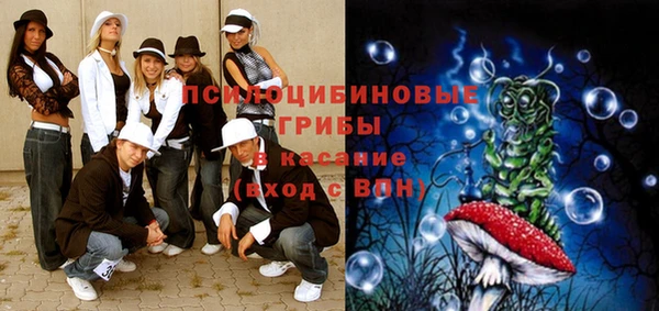 a pvp Магас