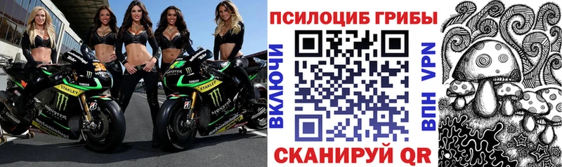 Псилоцибиновые грибы GOLDEN TEACHER  Купить где  Красноармейск 